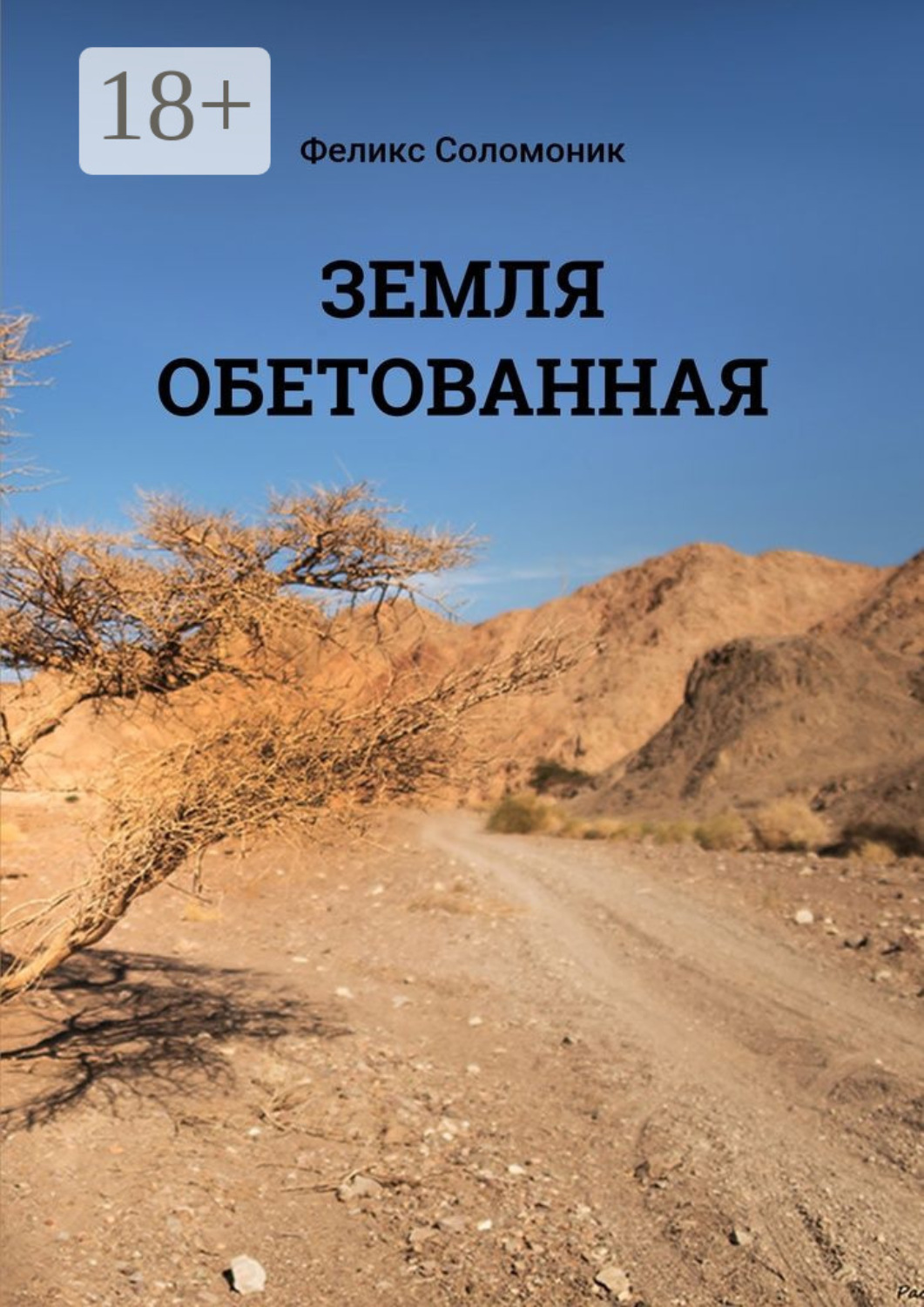 Обложка книги «Земля обетованная»