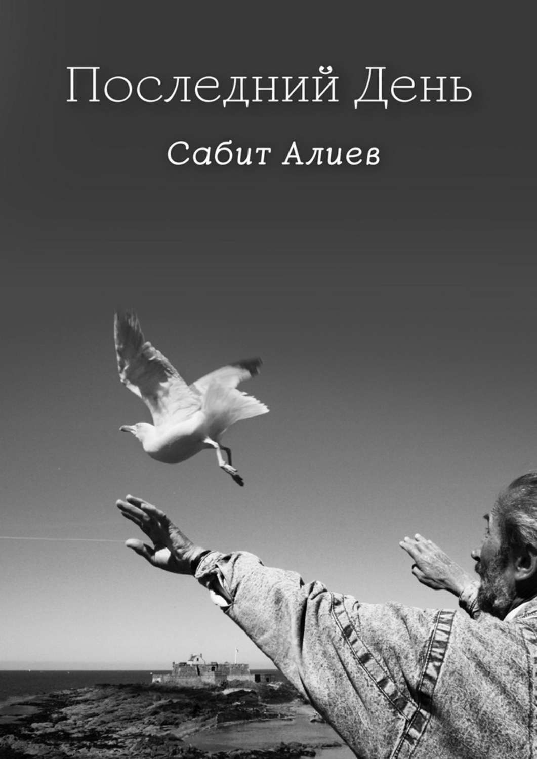 Обложка книги «Последний день»