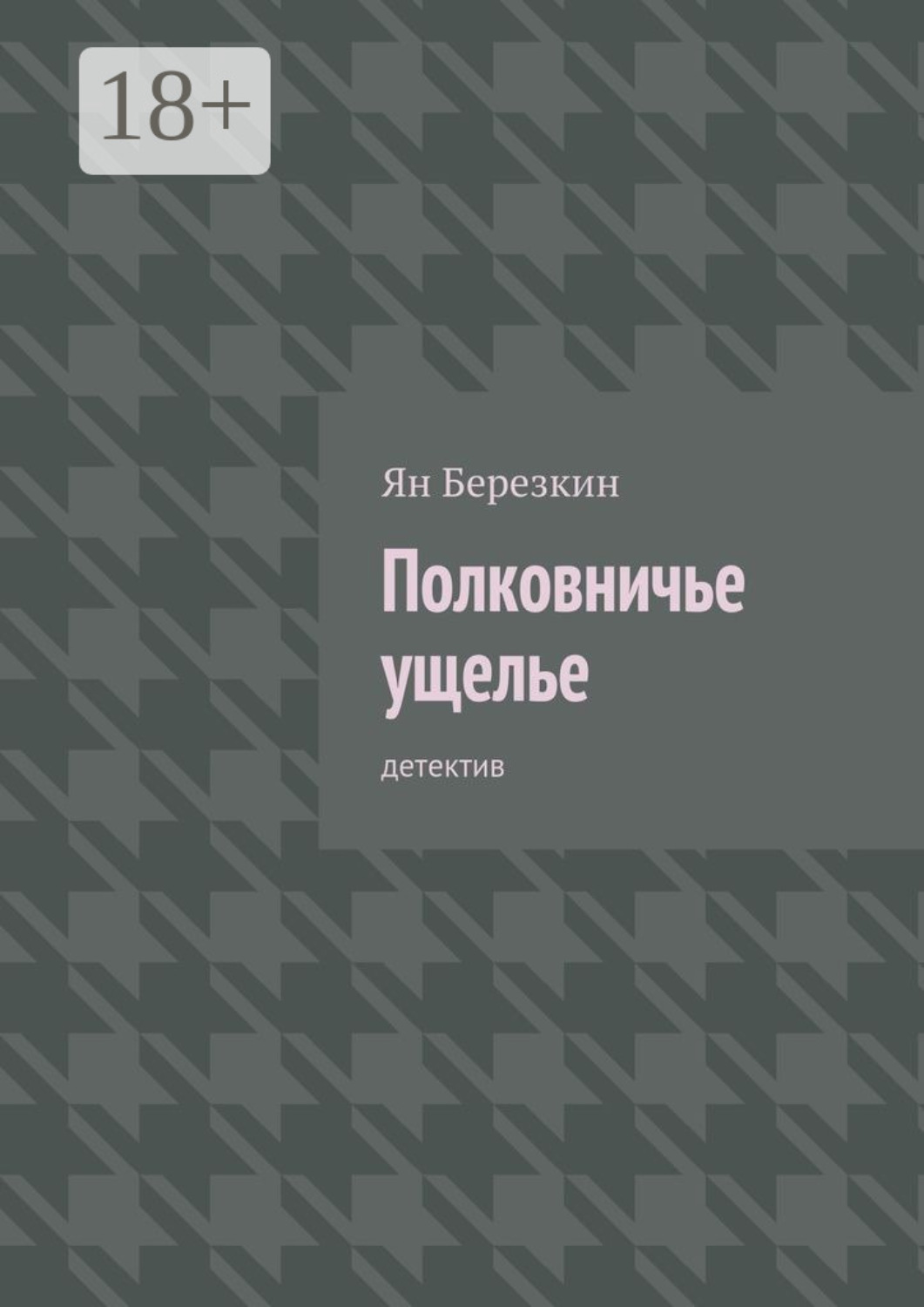 Обложка книги «Полковничье ущелье. Детектив»