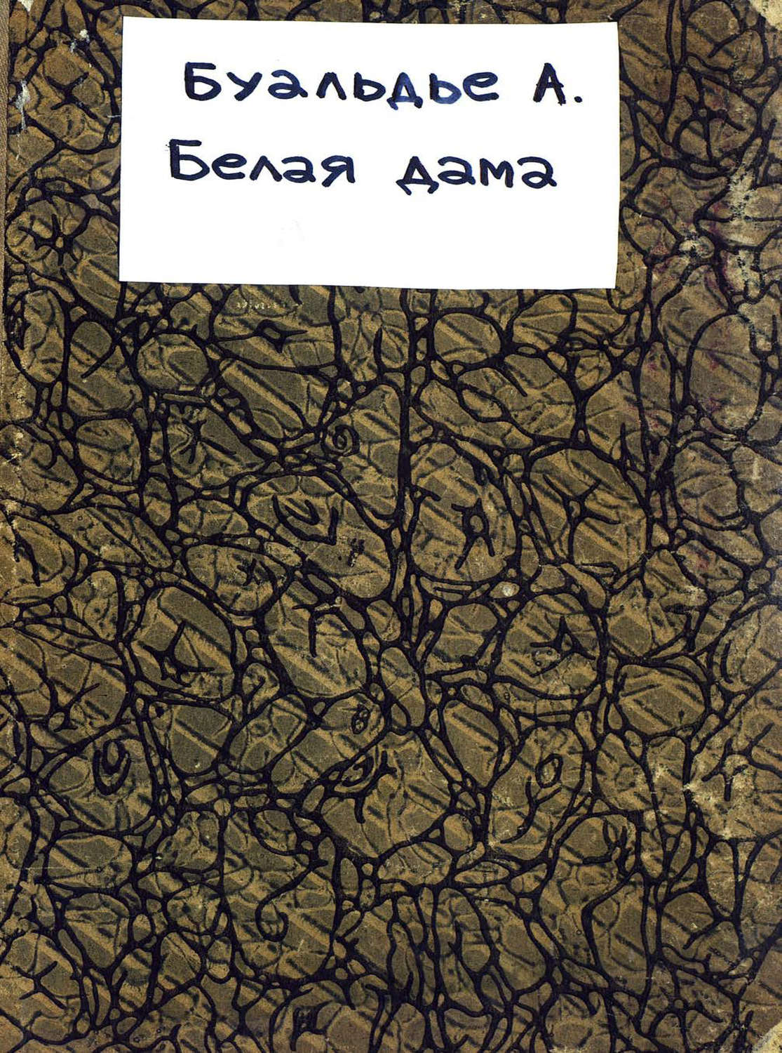 Обложка книги «La dame blanche»