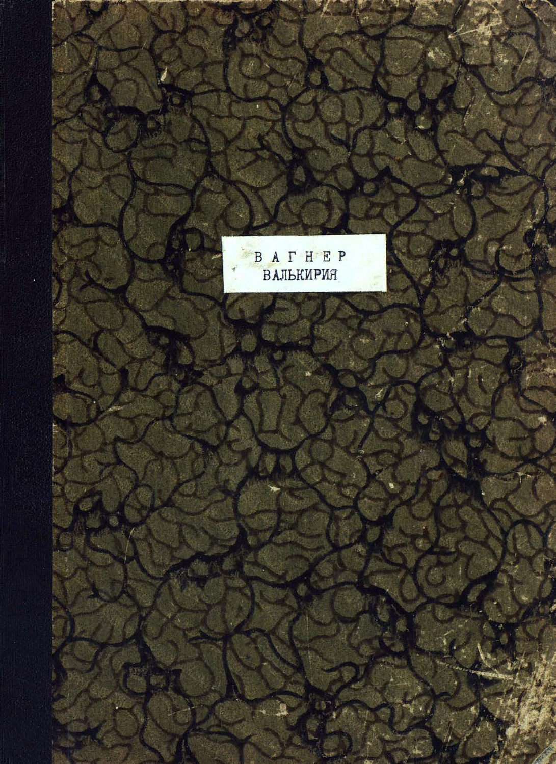 Обложка книги «Валькирия»