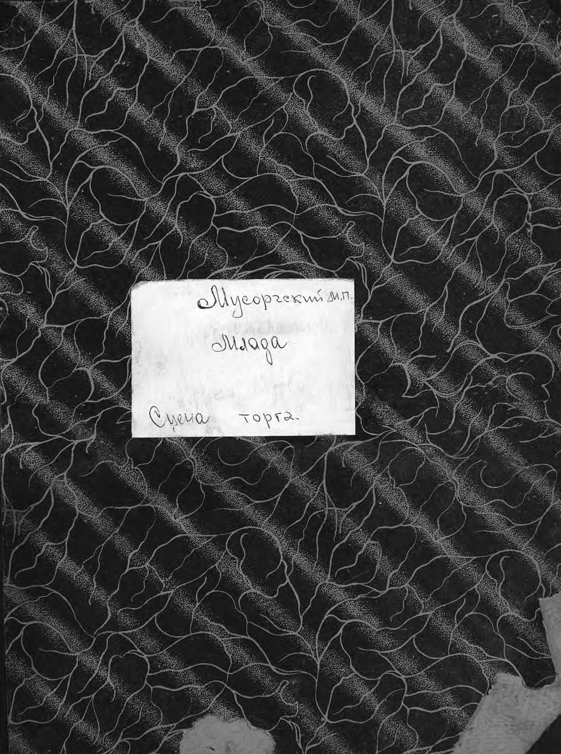 Обложка книги «Млада»