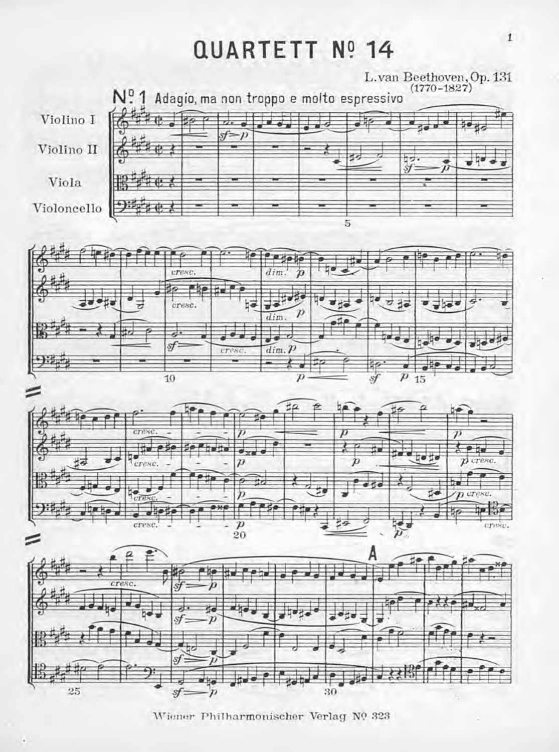 Обложка книги «Streichquartett Cis moll»