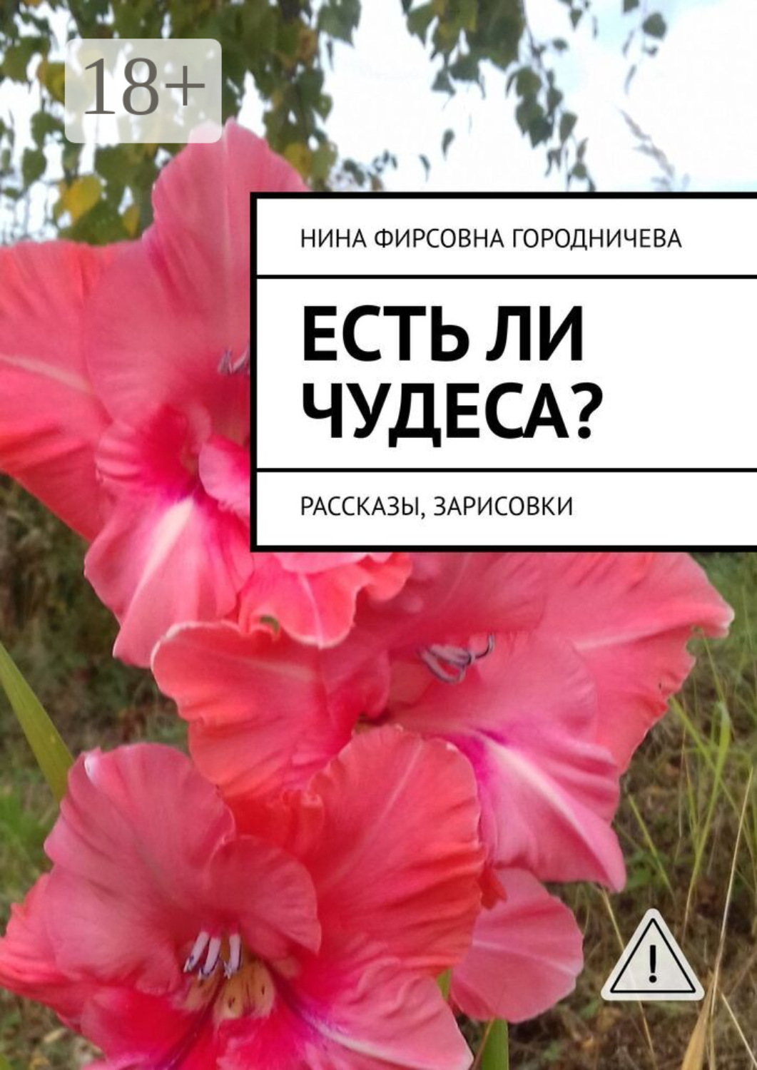 Обложка книги «Есть ли чудеса? Рассказы, зарисовки»