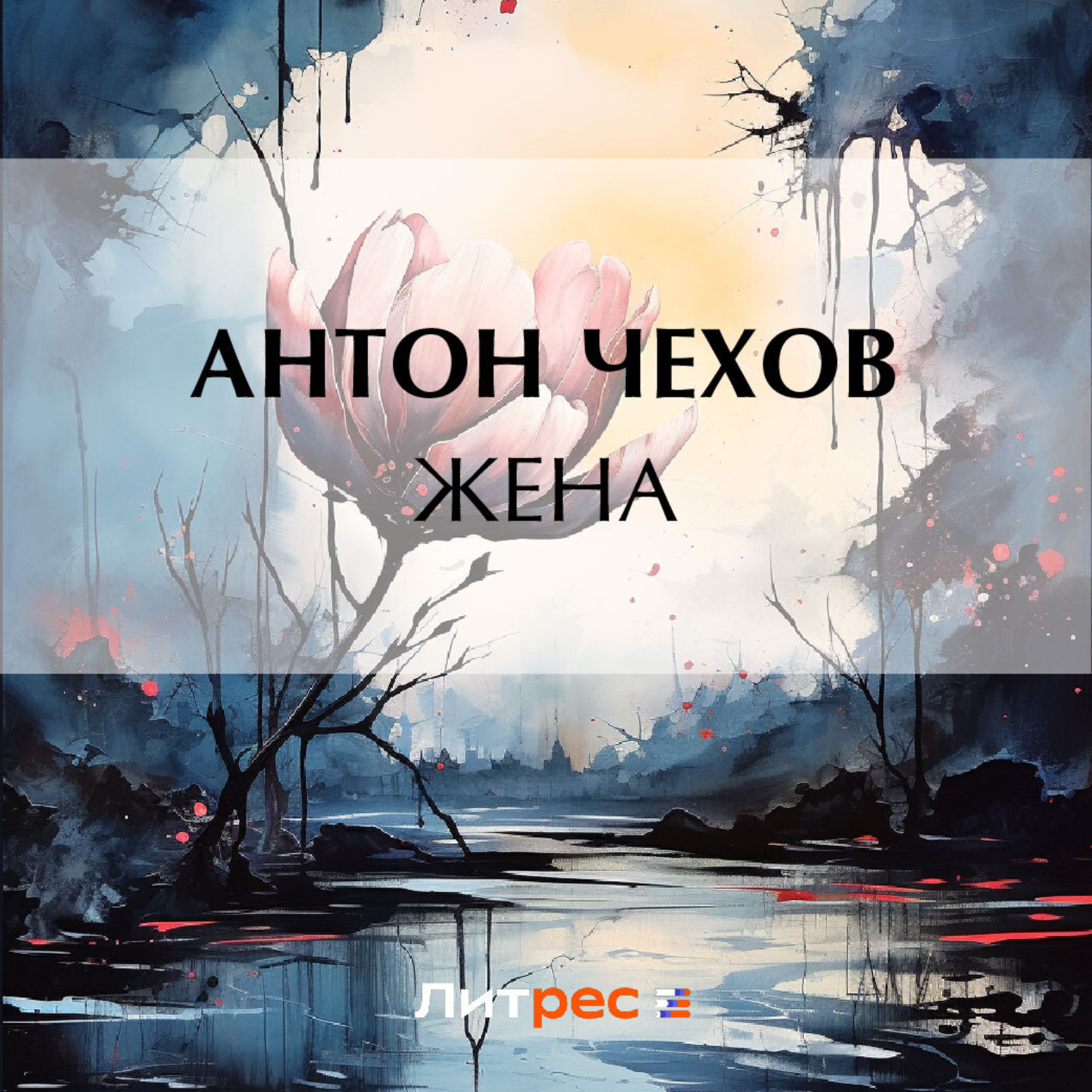 Обложка книги «Жена»