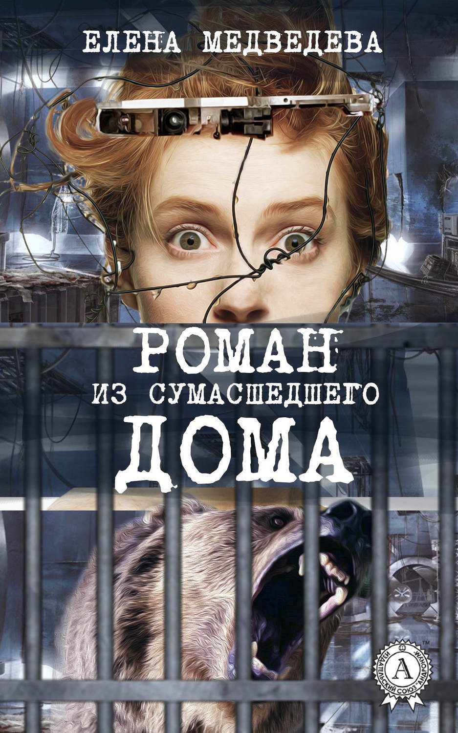 Обложка книги «Роман из сумасшедшего дома»