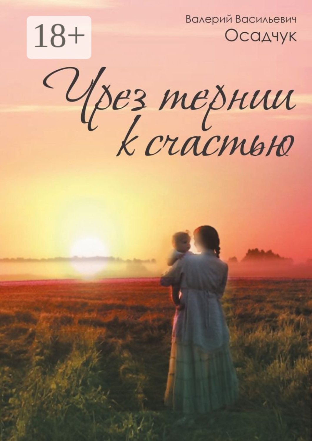 Обложка книги «Чрез тернии к счастью»
