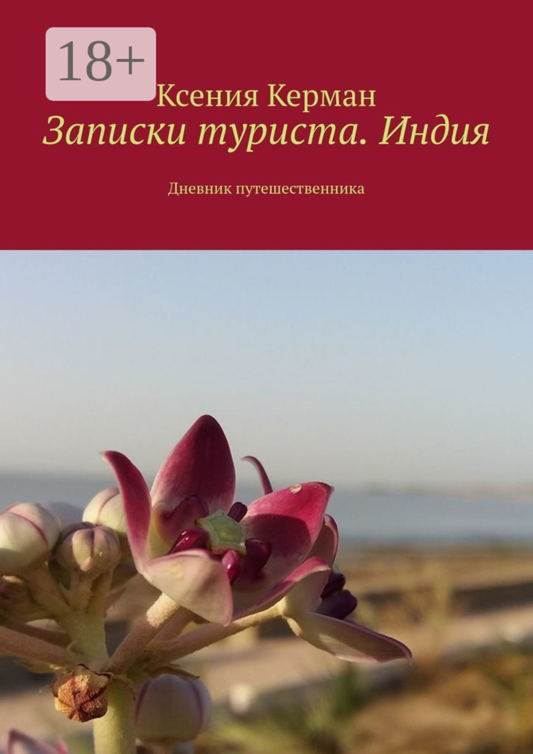 Обложка книги «Записки туриста. Индия. Дневник путешественника»