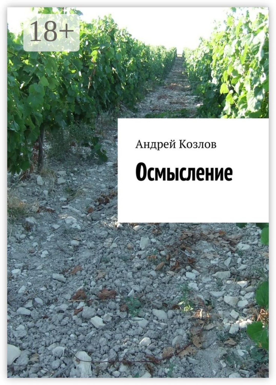 Обложка книги «Осмысление»