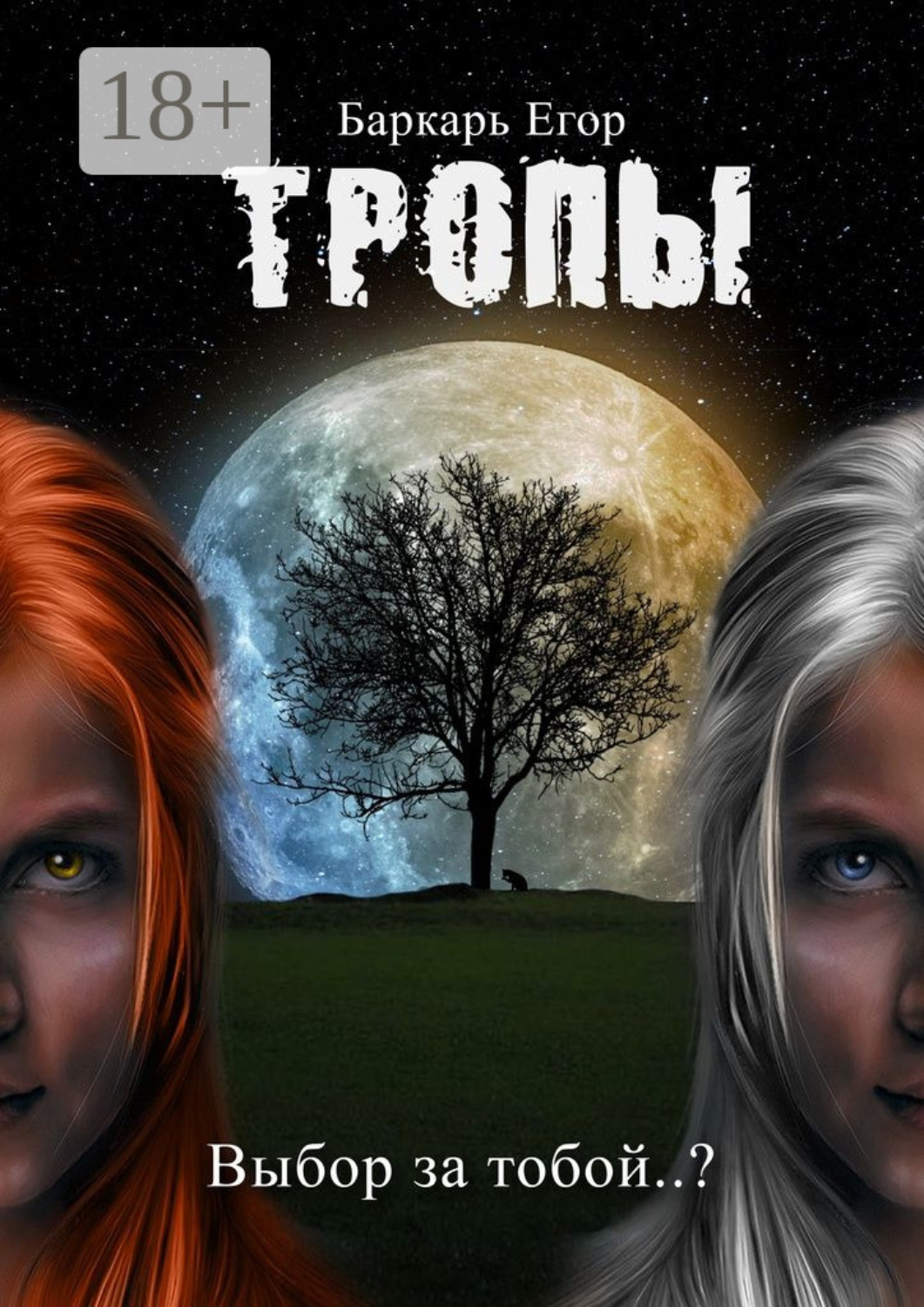 Обложка книги «Тропы. Выбор за тобой..?»