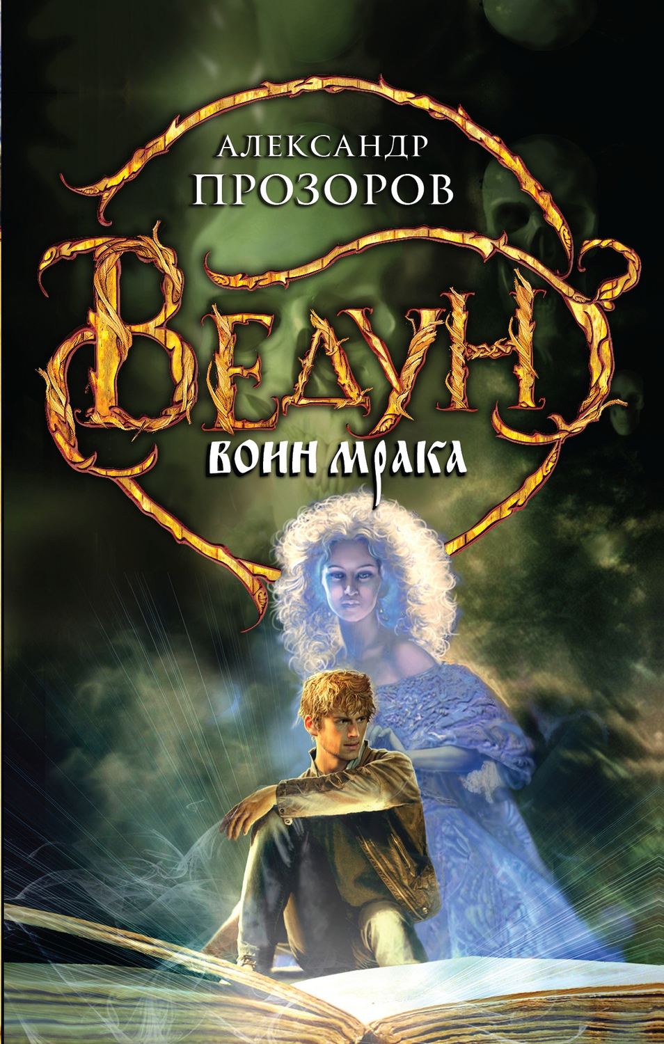 Обложка книги «Воин мрака»
