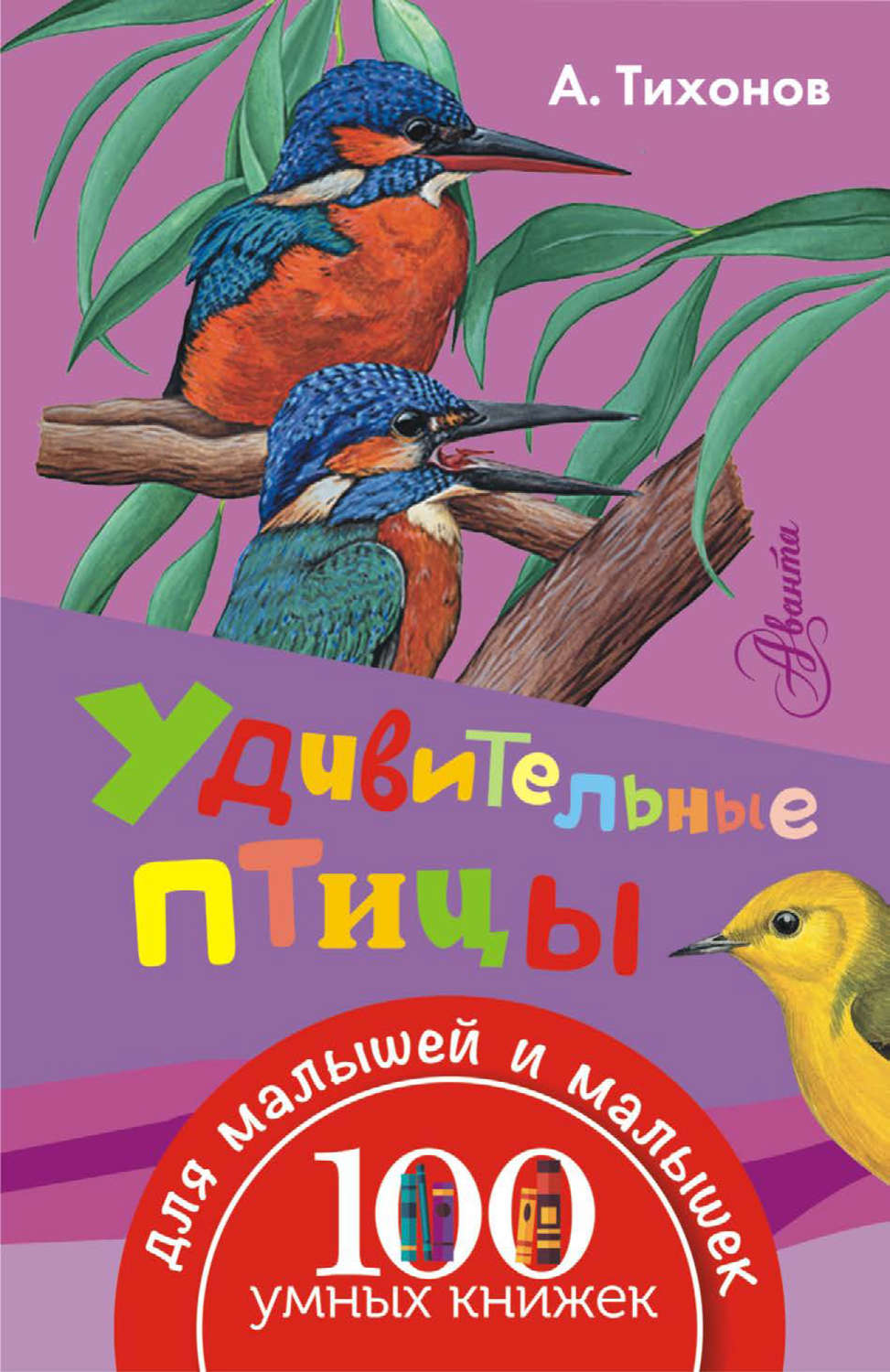 Обложка книги «Удивительные птицы»