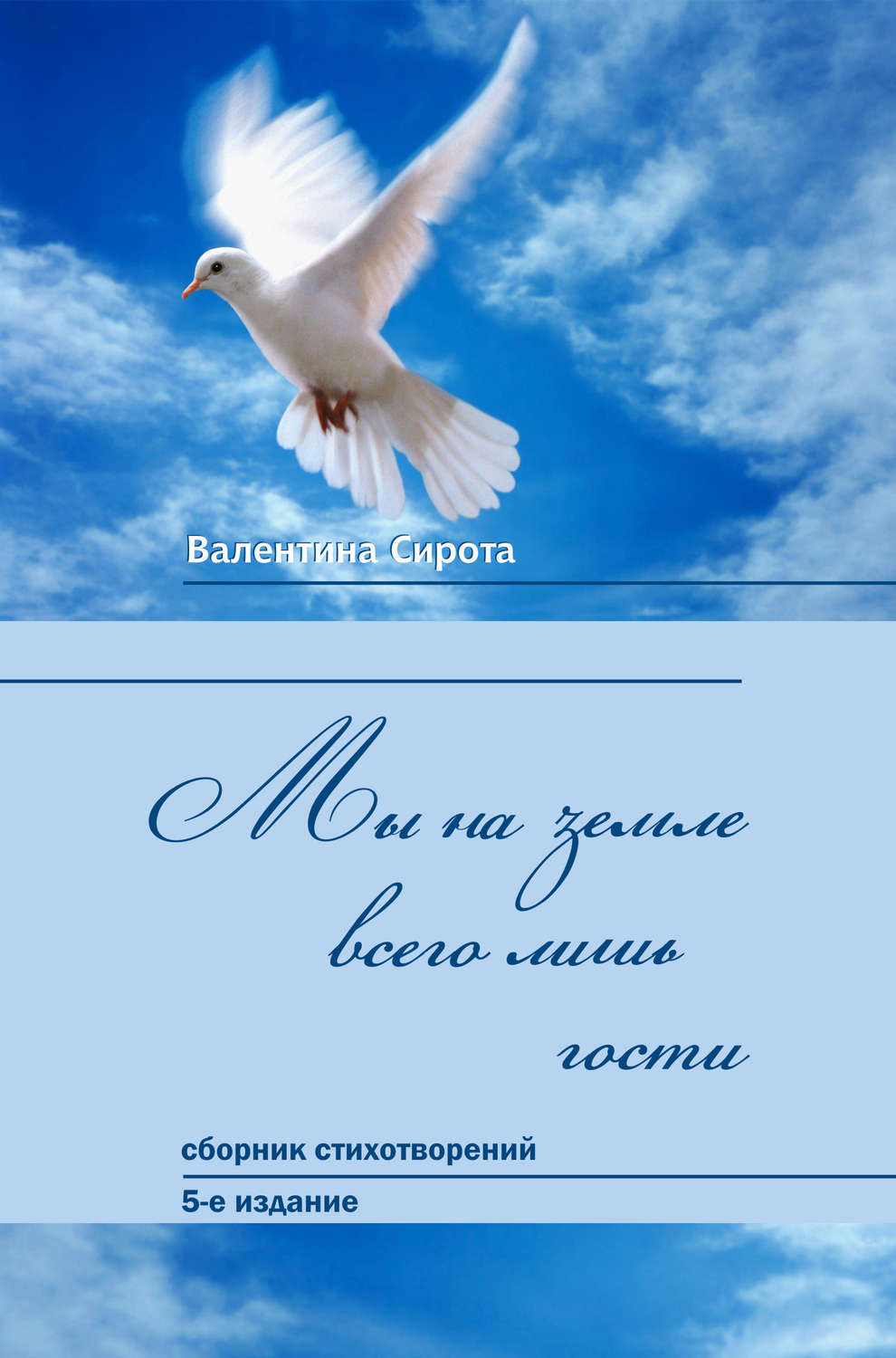 Обложка книги «Мы на земле всего лишь гости… (сборник)»
