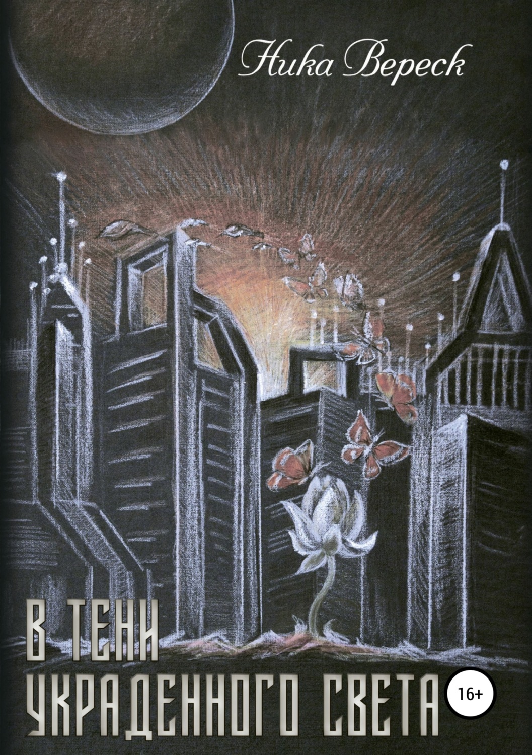 Обложка книги «В тени украденного света»