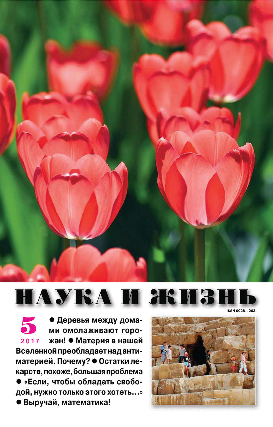 Обложка книги «Наука и жизнь №05/2017»