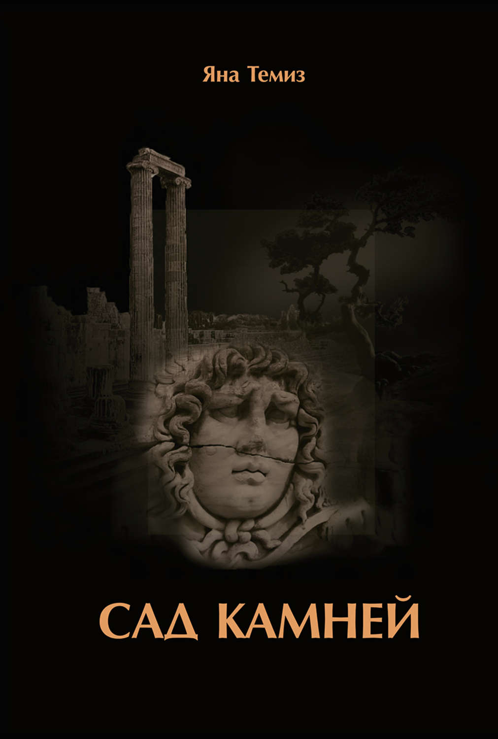 Обложка книги «Сад камней»