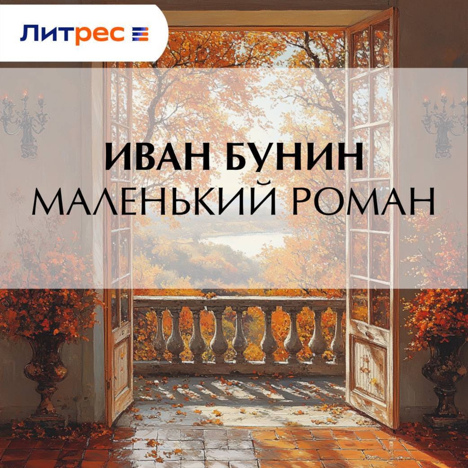 Обложка книги «Маленький роман»