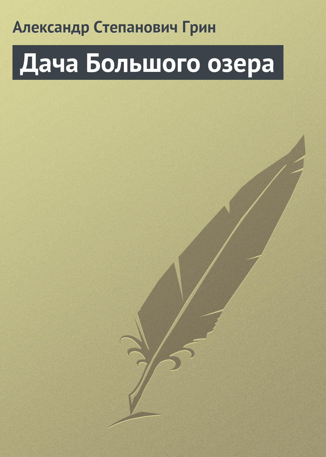 Обложка книги «Дача Большого озера»