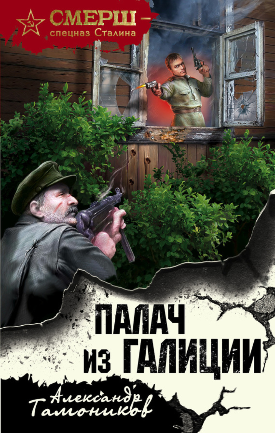 Обложка книги «Палач из Галиции»