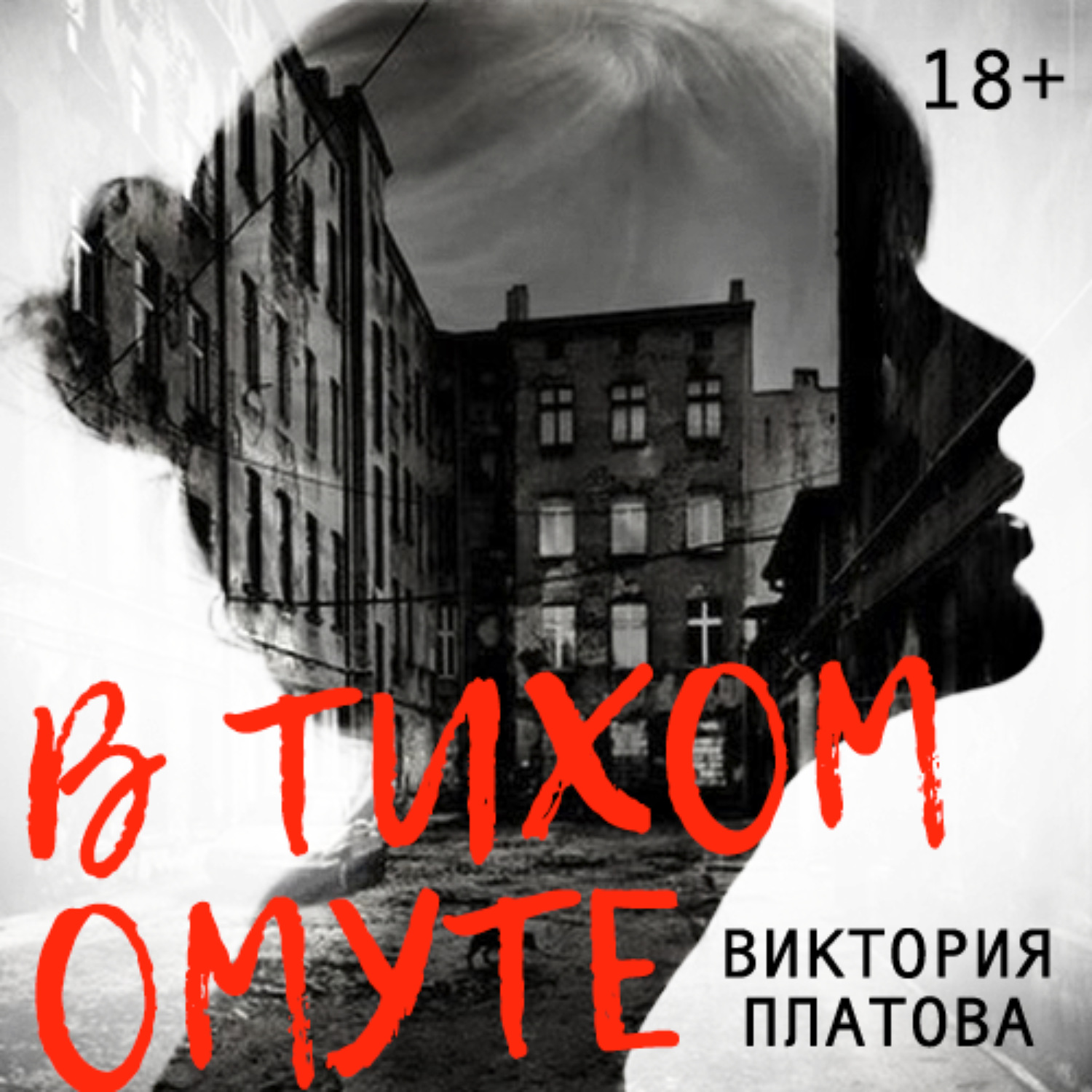 Обложка книги «В тихом омуте…»
