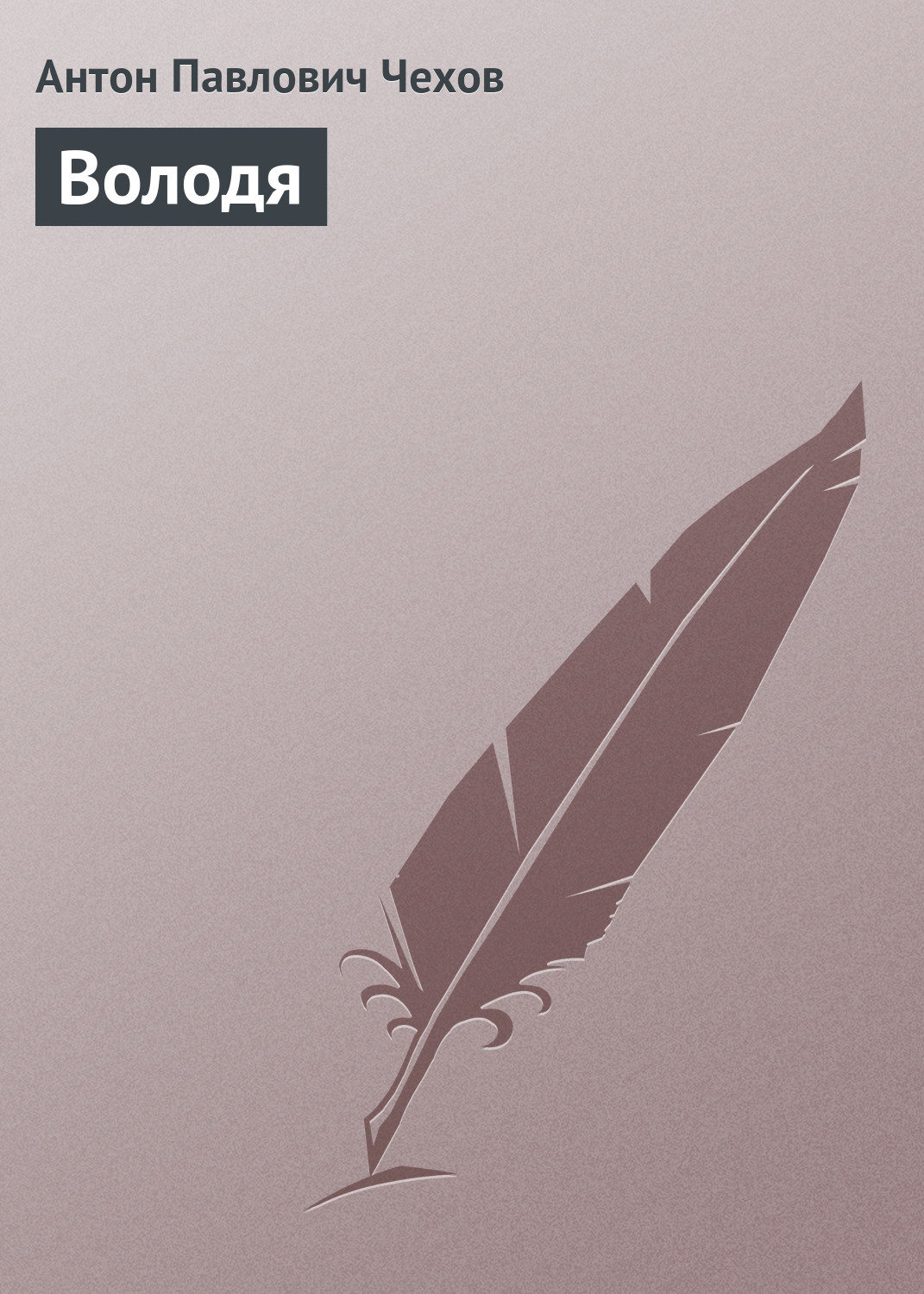Обложка книги «Володя»