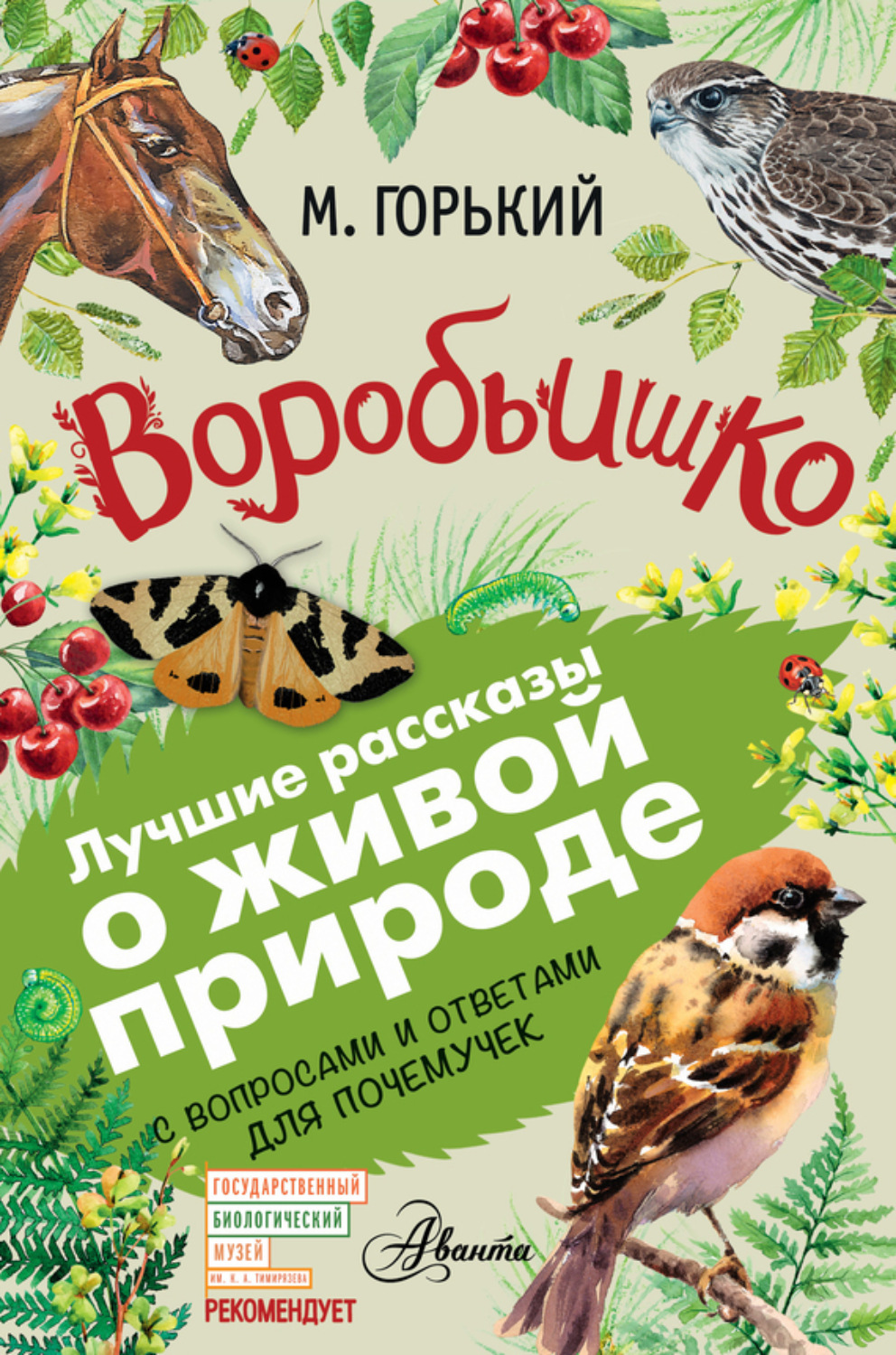 Обложка книги «Воробьишко. Рассказы с вопросами и ответами для почемучек»