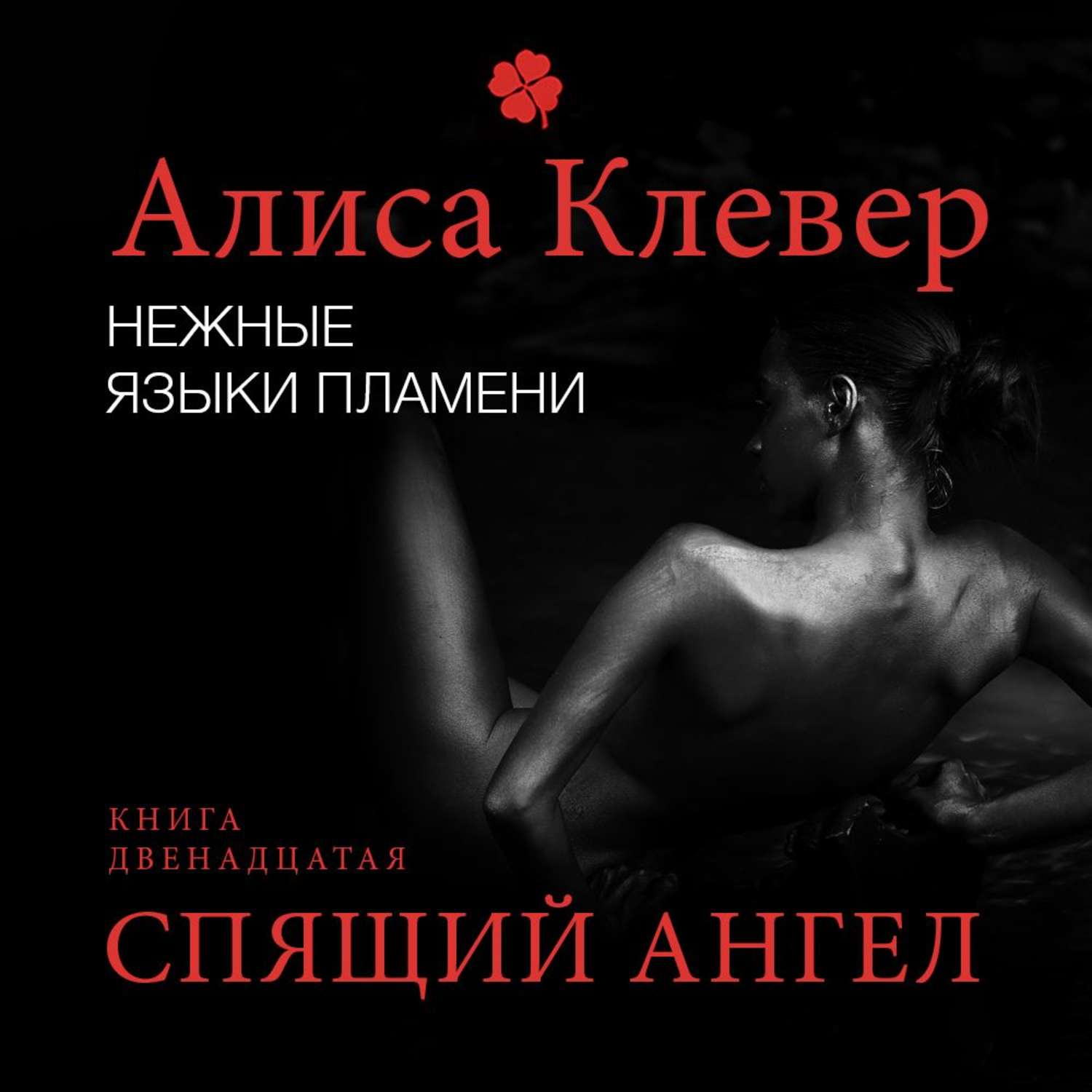 Обложка книги «Нежные языки пламени. Спящий ангел»