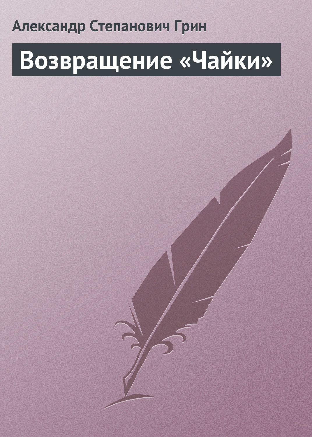Обложка книги «Возвращение «Чайки»»