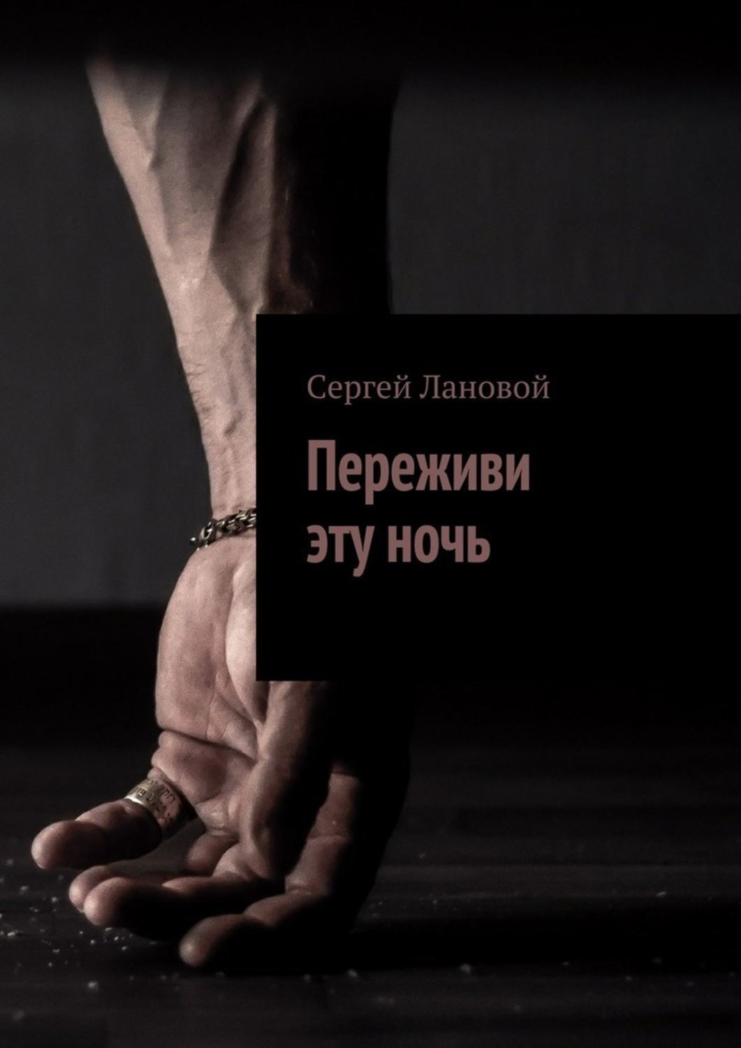Обложка книги «Переживи эту ночь»
