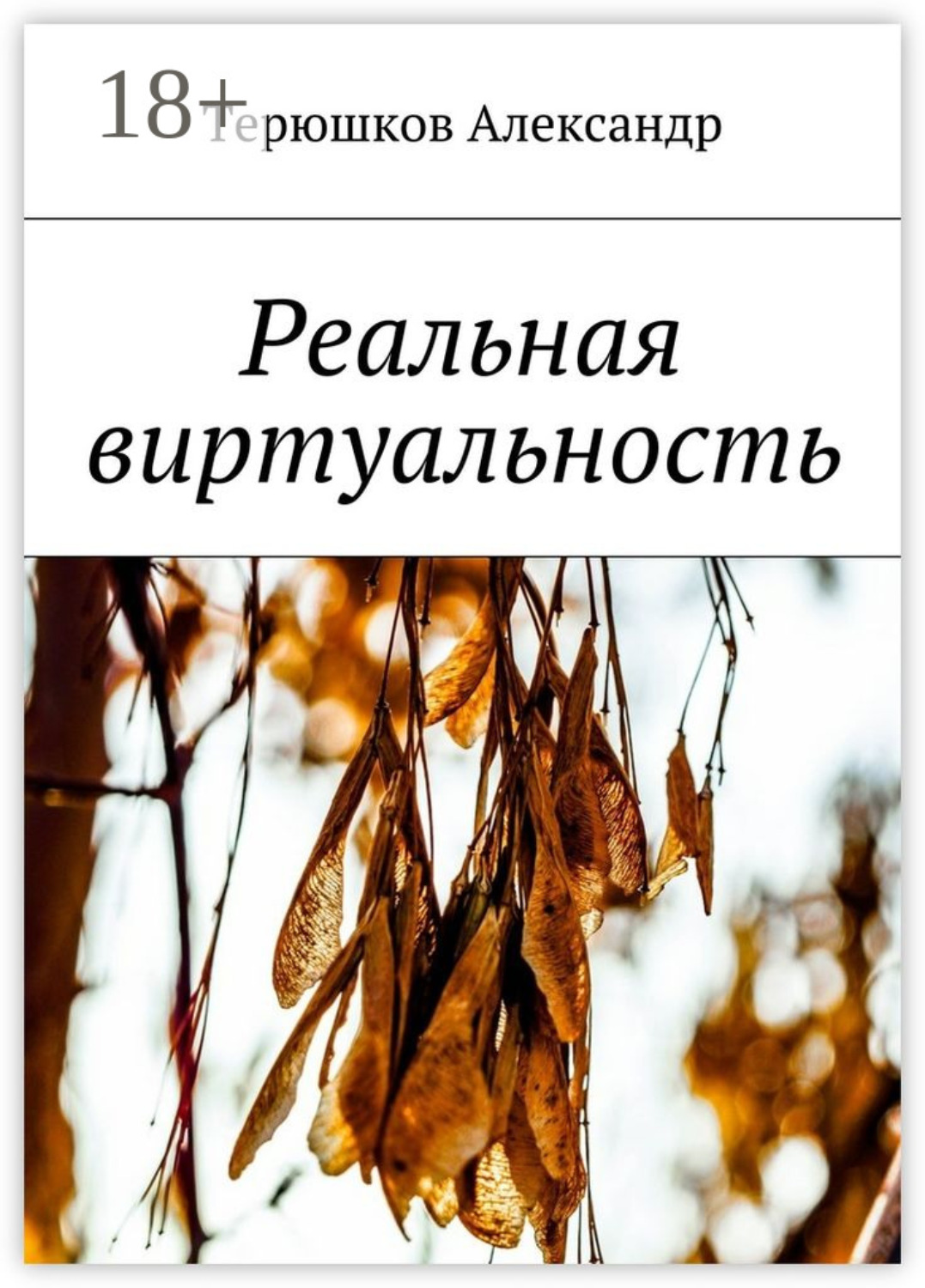 Обложка книги «Реальная виртуальность»
