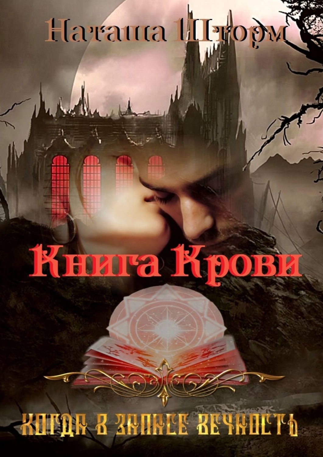 Обложка книги «Книга Крови. Когда в запасе вечность»