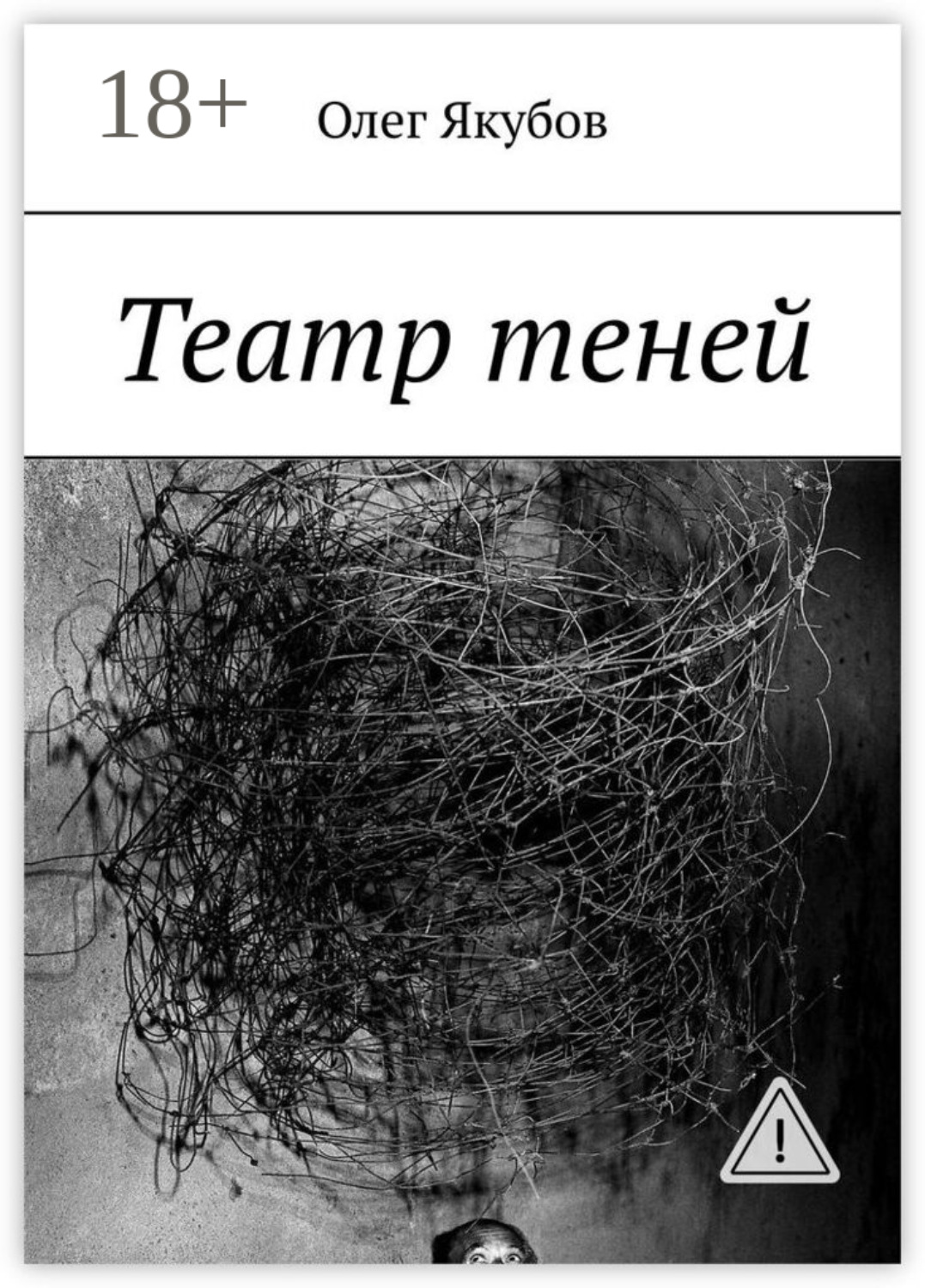 Обложка книги «Театр теней»