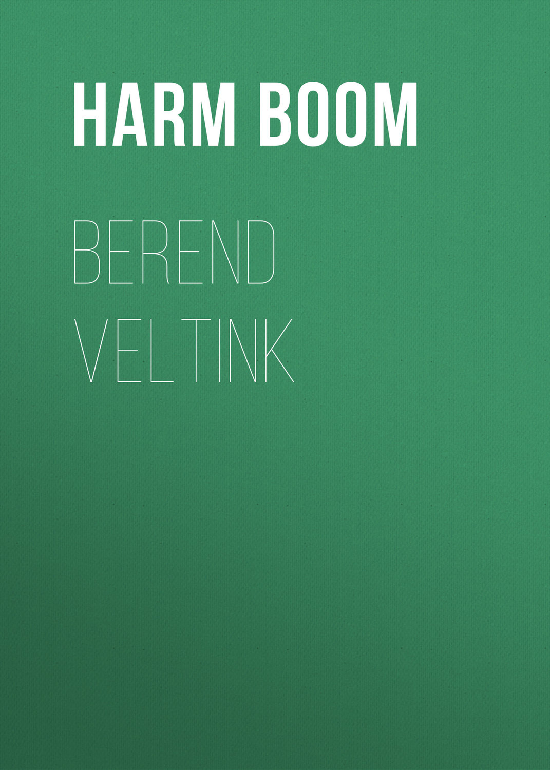 Обложка книги «Berend Veltink»