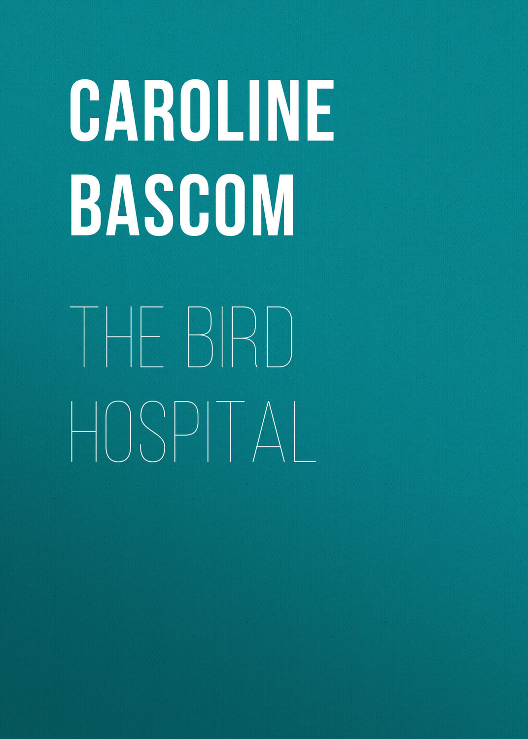 Обложка книги «The Bird Hospital»