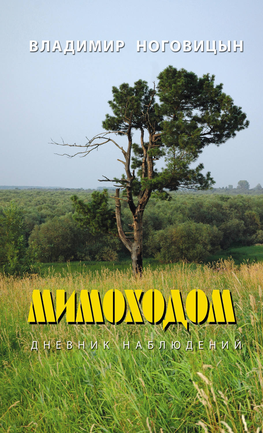 Обложка книги «Мимоходом. Дневник наблюдений»