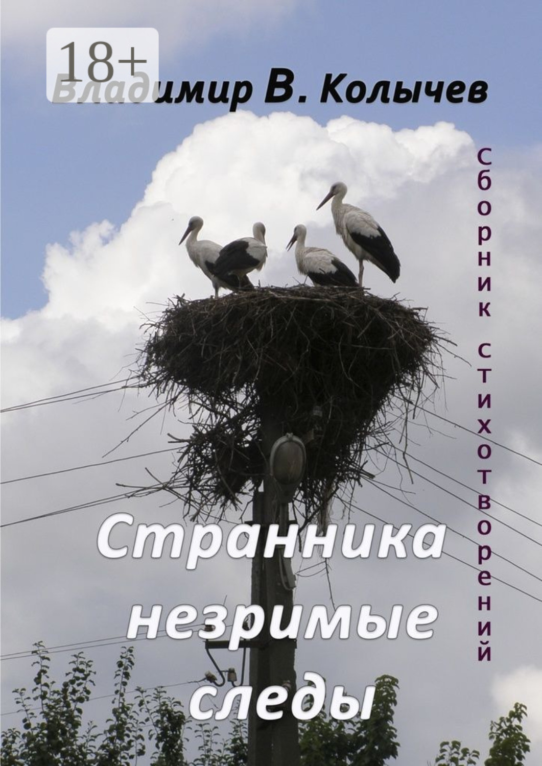 Обложка книги «Странника незримые следы»