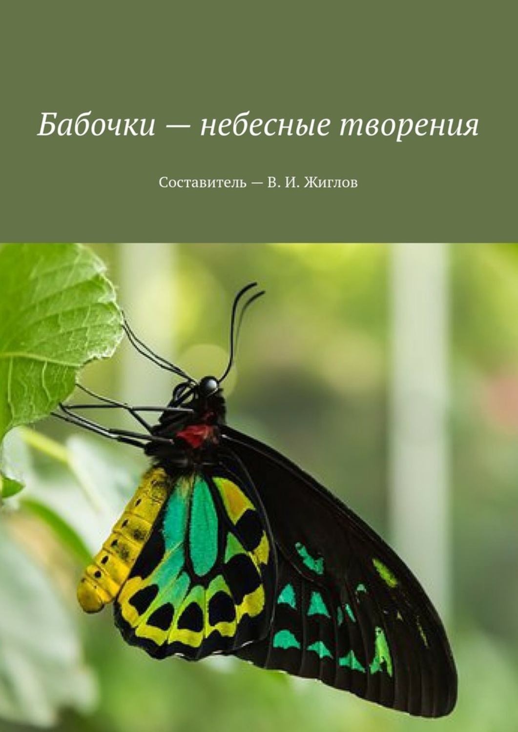 Обложка книги «Бабочки – небесные творения»