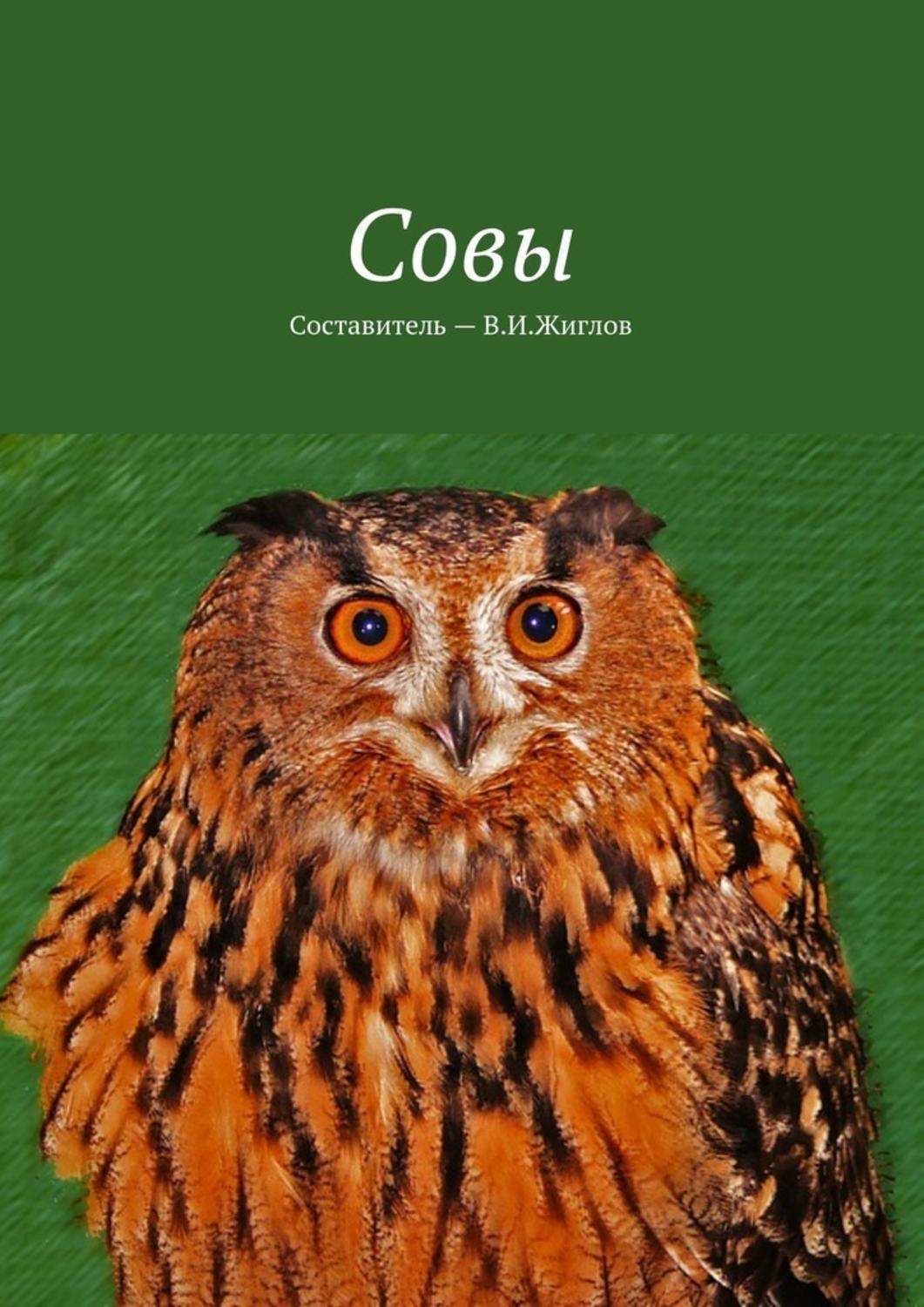 Обложка книги «Совы»