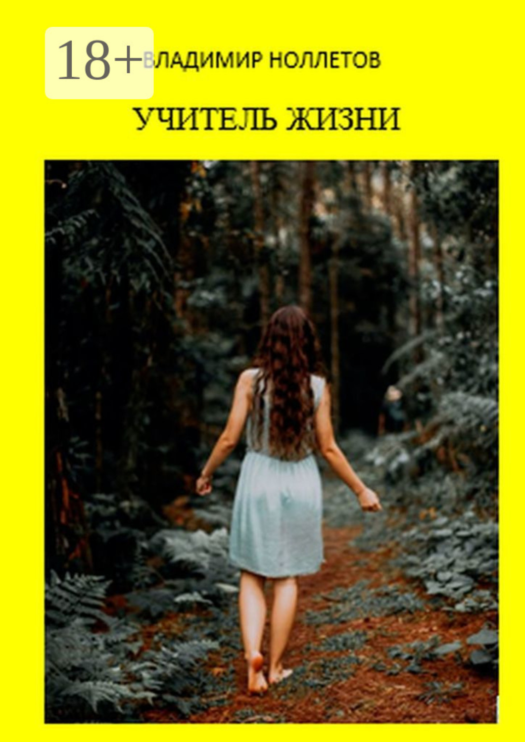 Обложка книги «Учитель жизни»