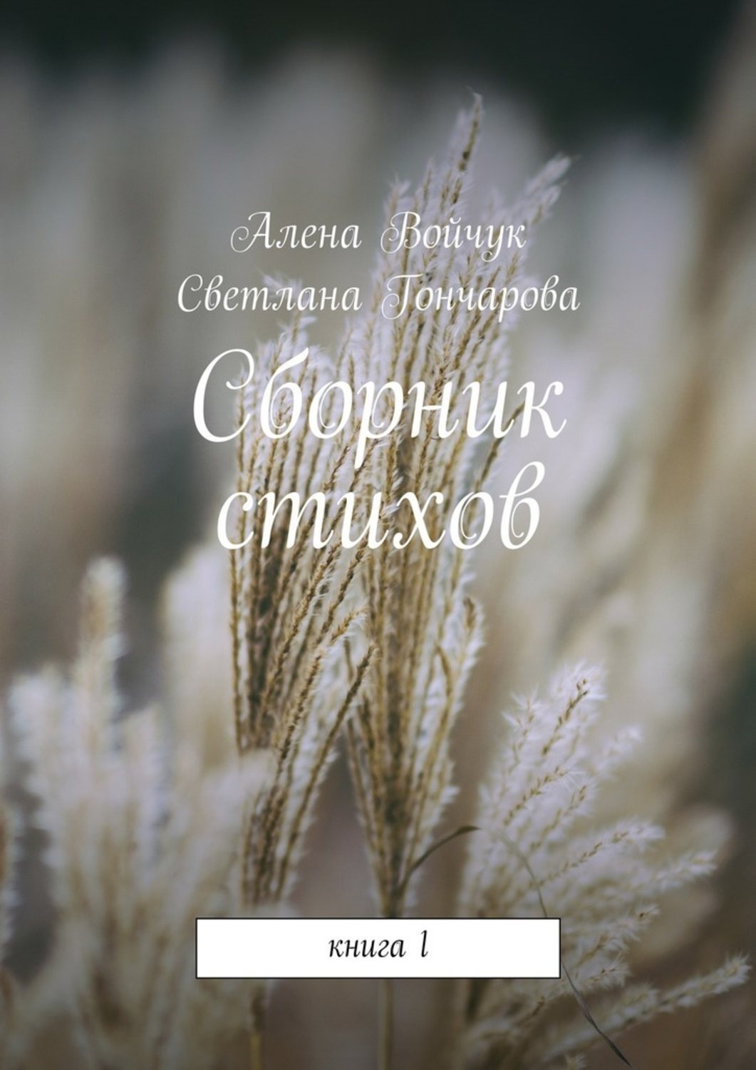Обложка книги «Сборник стихов. Книга 1»