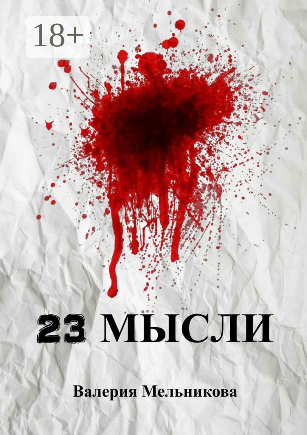 Обложка книги «23 мысли»