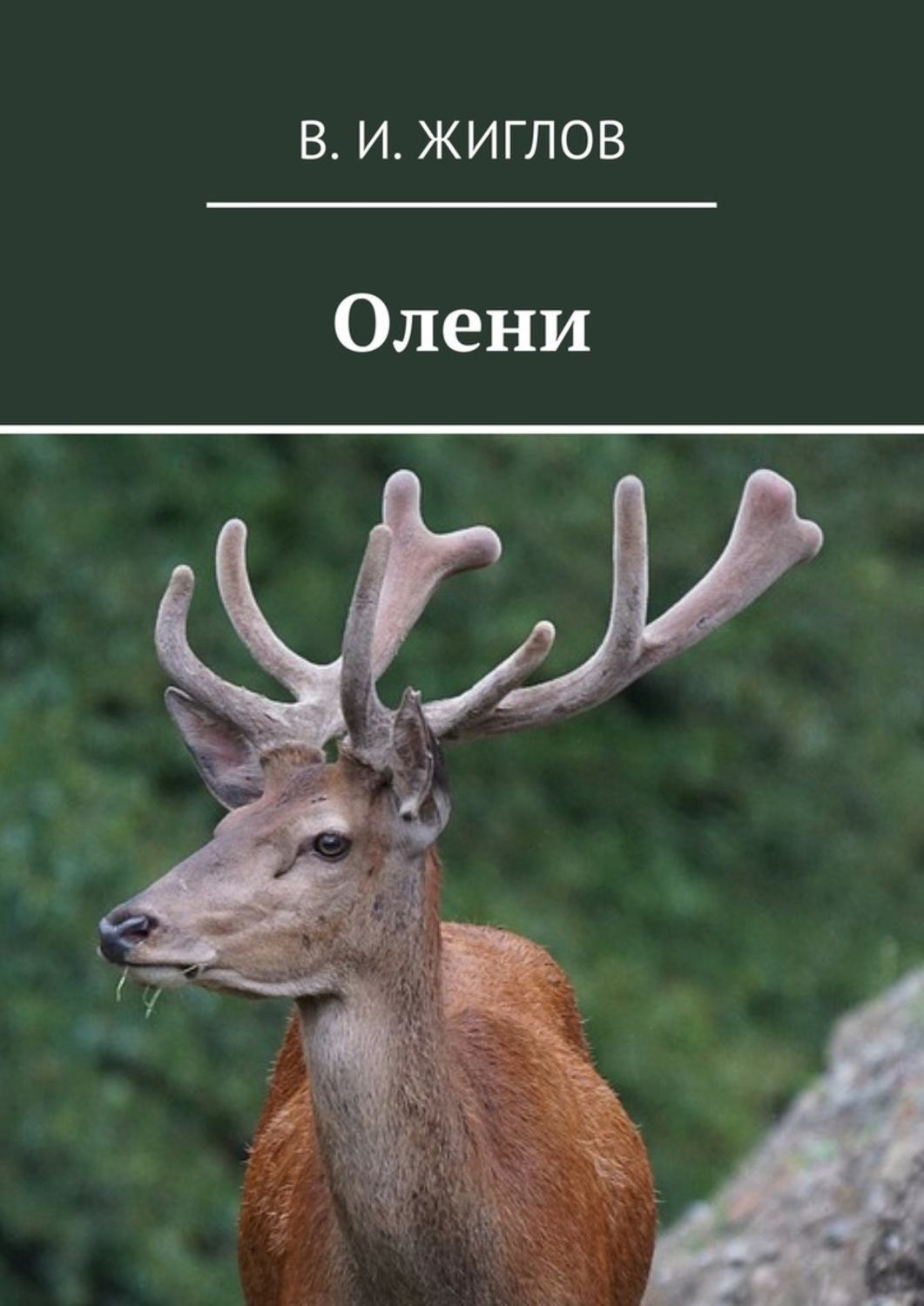 Обложка книги «Олени»