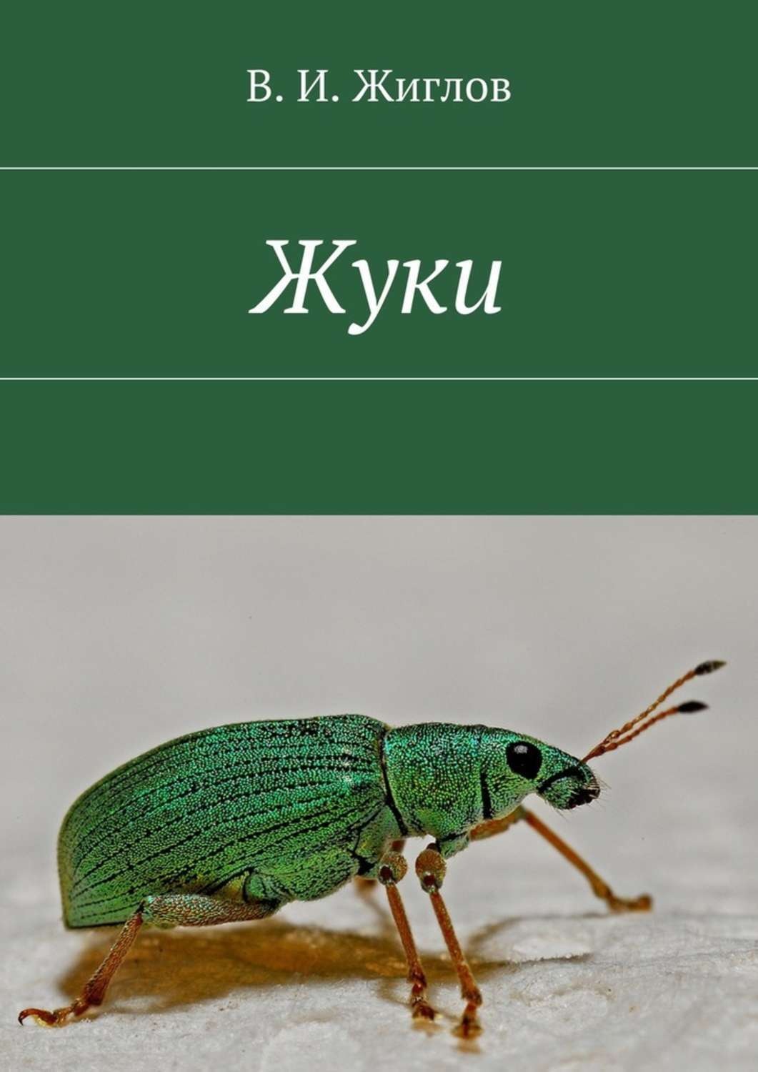 Обложка книги «Жуки»