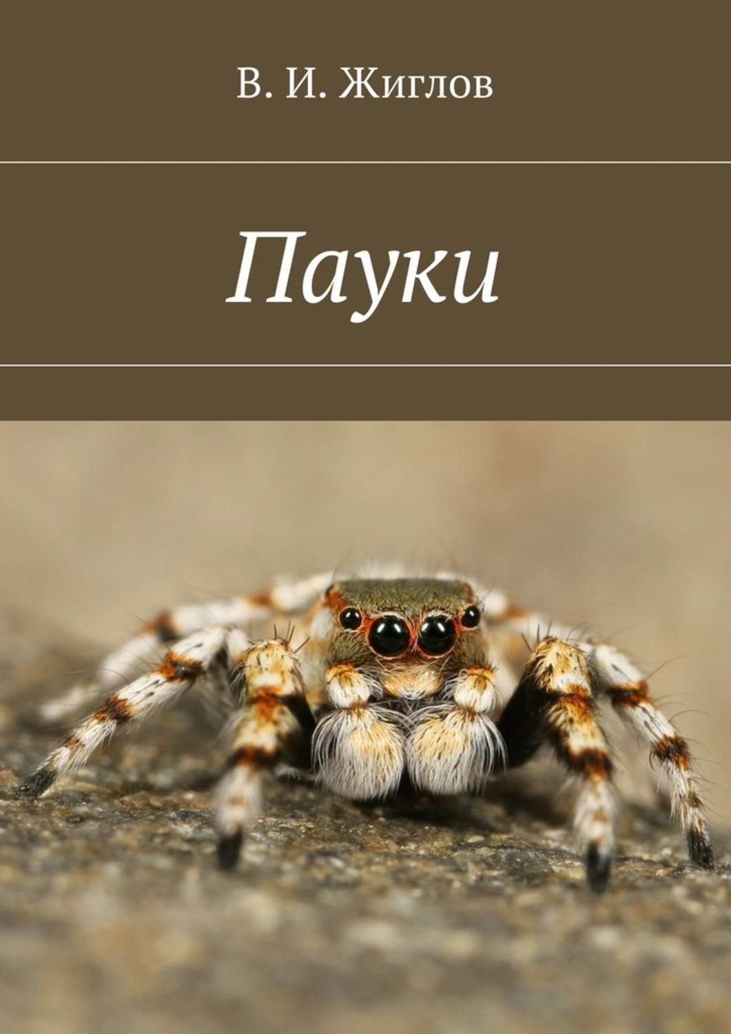 Обложка книги «Пауки»