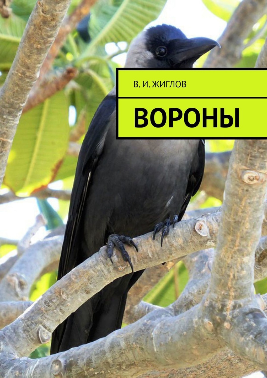 Обложка книги «Вороны»