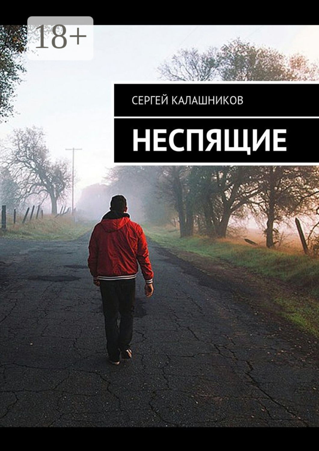 Обложка книги «Неспящие»