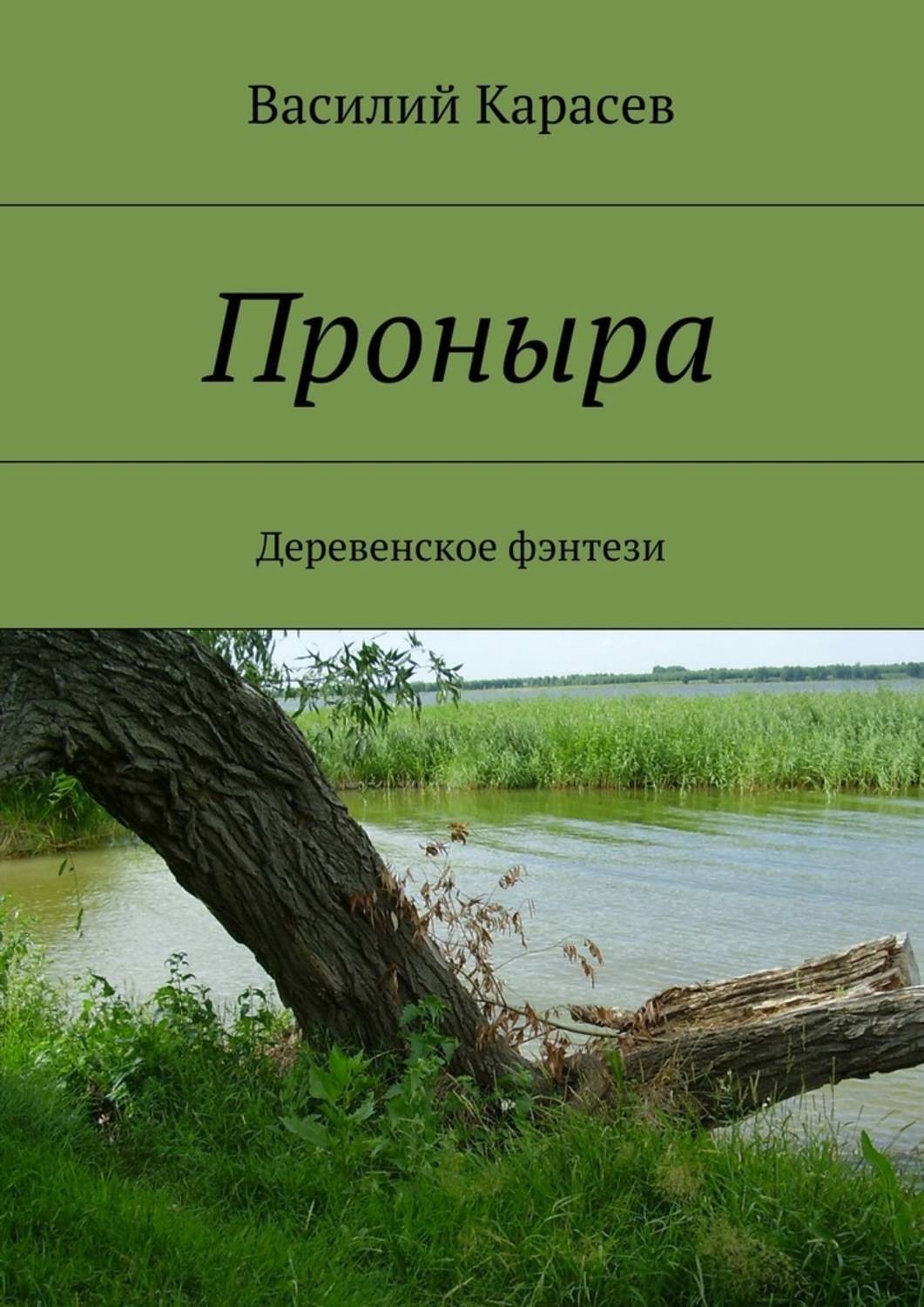 Обложка книги «Проныра. Деревенское фэнтези»