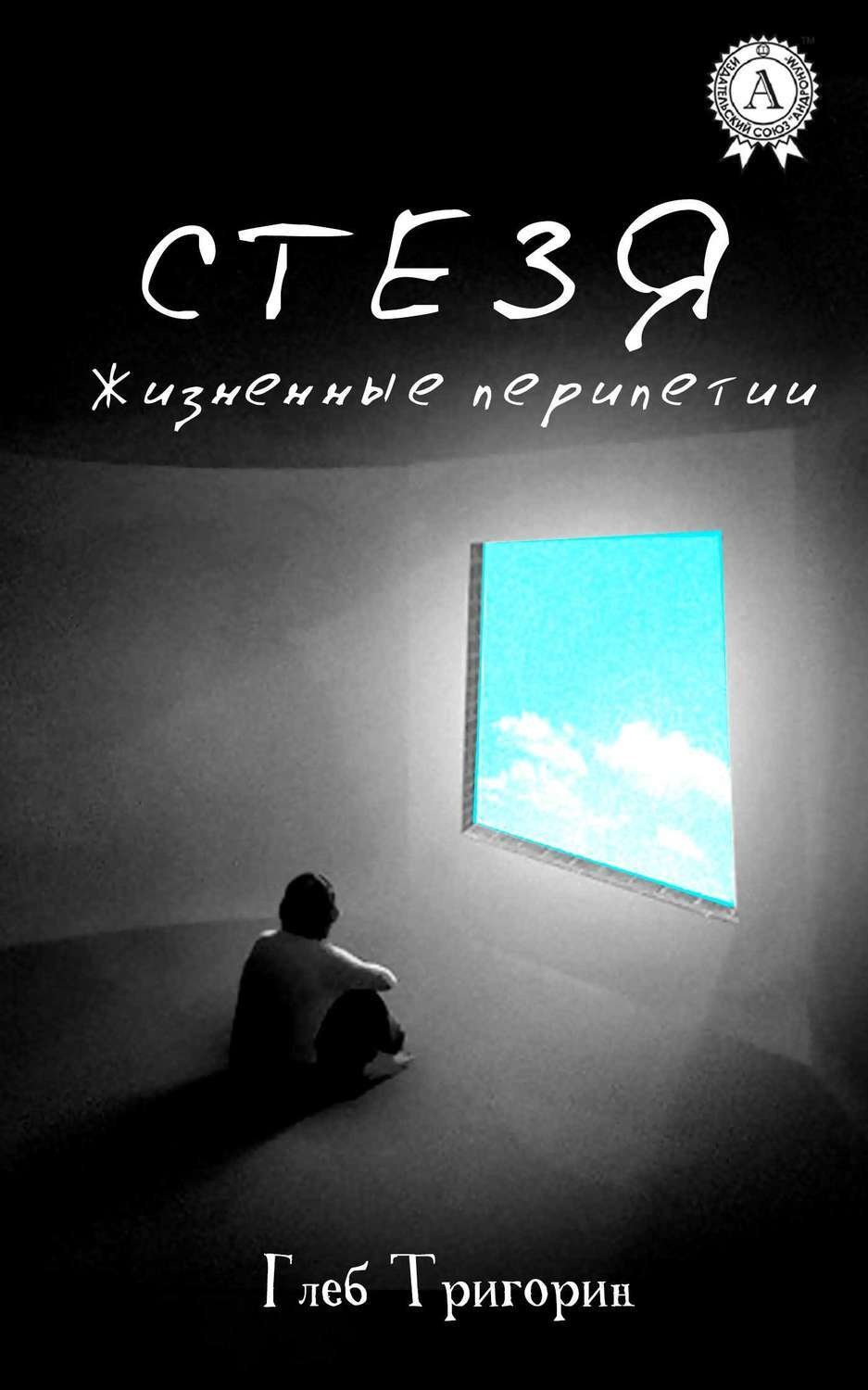 Обложка книги «Стезя. Жизненные перипетии»
