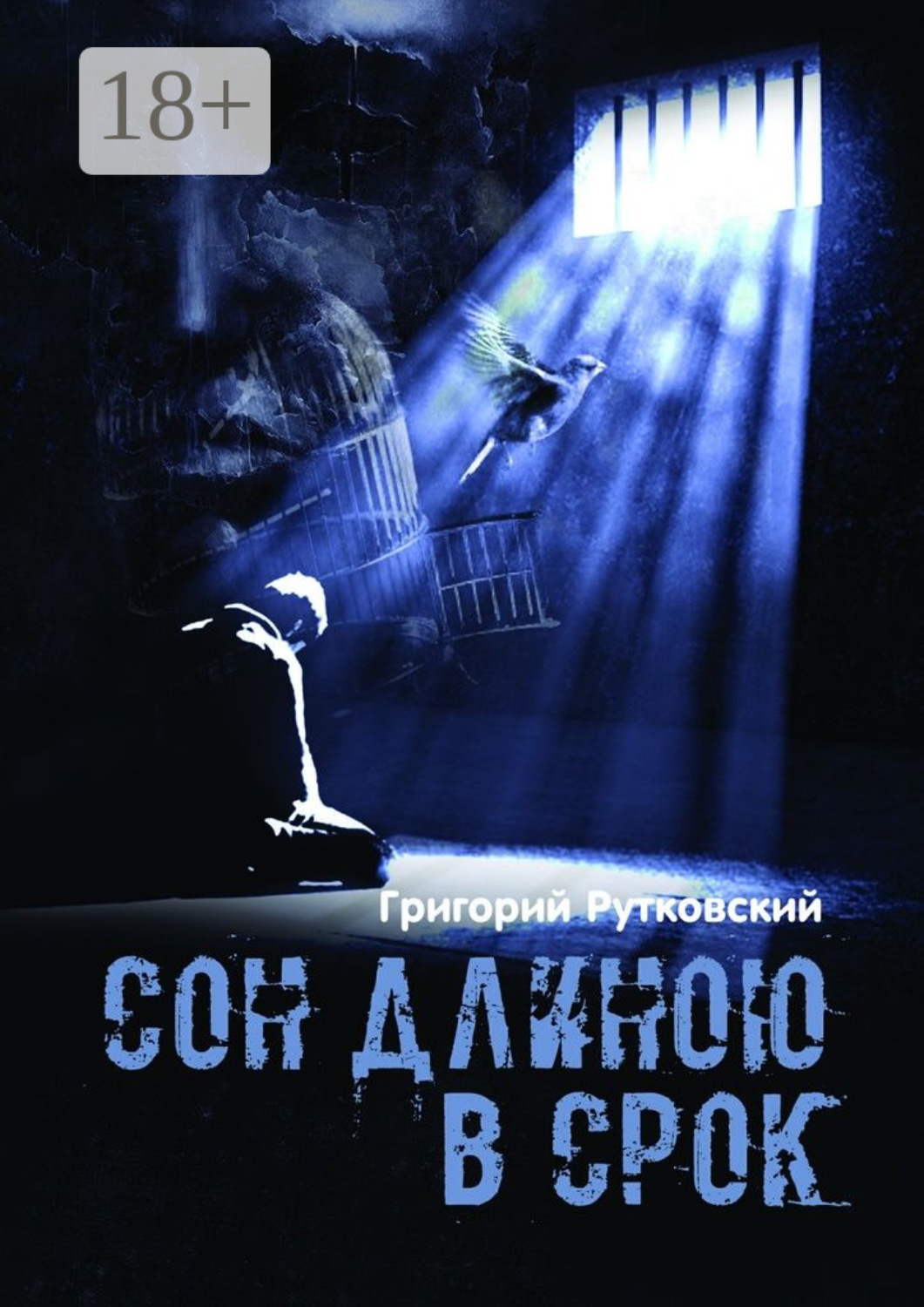 Обложка книги «Сон длиною в срок»