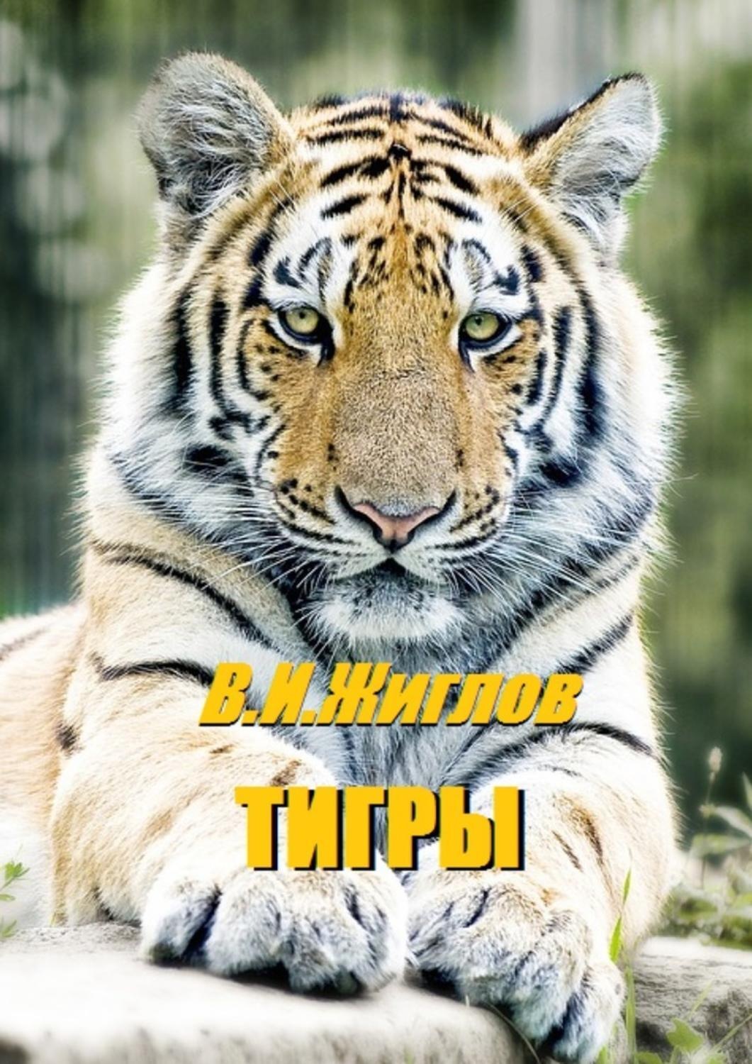 Обложка книги «Тигры»